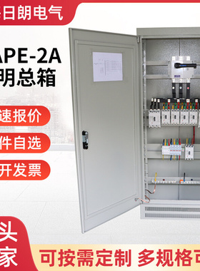 DAPE-2A 照明总箱 照明配电柜动力柜成套低压成套配电箱