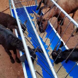 畜牧羊料槽子羊食槽带架子可组装拆卸铁皮底补料羊槽喂羊专用家用