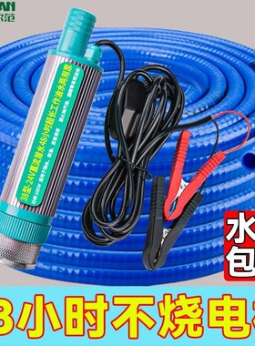 便携式抽油泵电动抽油泵棒124v伏小抽油神器柴油软管泵油抽子抽水