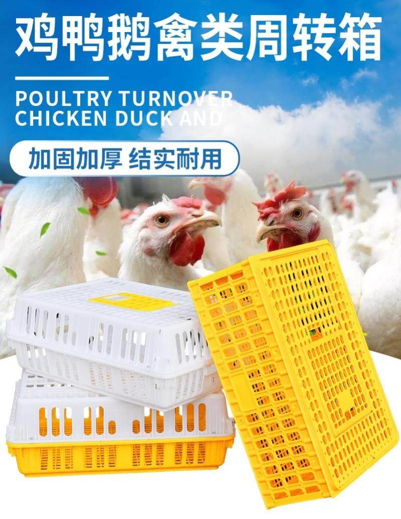 成鸡活鸡笼子肉兔笼鸡用鸽笼子筐子鸡鸭J鹅运输鸡笼周转箱货运塑