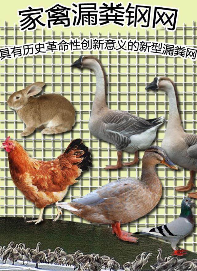 养鸡场鸡舍设备平脚垫鸡笼网套鸡鸭整卷垫子垫脚板钢丝网子围