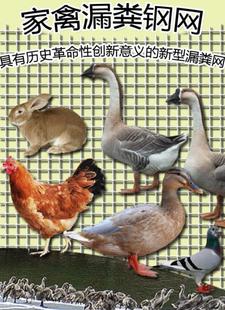养鸡场鸡舍设备平脚垫鸡笼网套鸡鸭整卷垫子垫脚板钢丝网子围