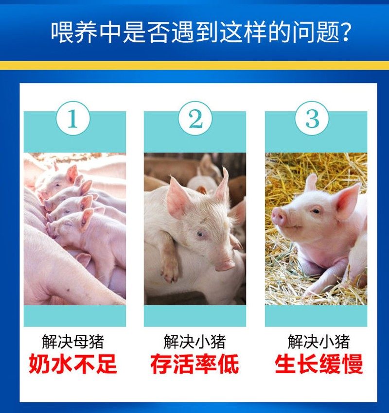 乳猪专用奶粉不拉稀仔猪喂猪奶粉新生刚出生小猪奶粉料代乳粉