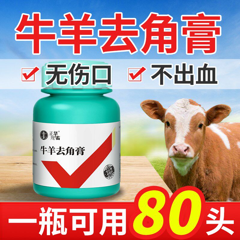 华畜犊牛羊去角膏去角灵羔羊除角器奶牛I去角药不长角兽用养殖设
