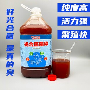 光合细菌菌种原种光合细菌培养基海淡水通用水产养殖降低氨氮亚盐