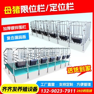 母猪定位栏猪用半限位栏猪用养殖设备落地定制围栏猪圈定位漏粪板