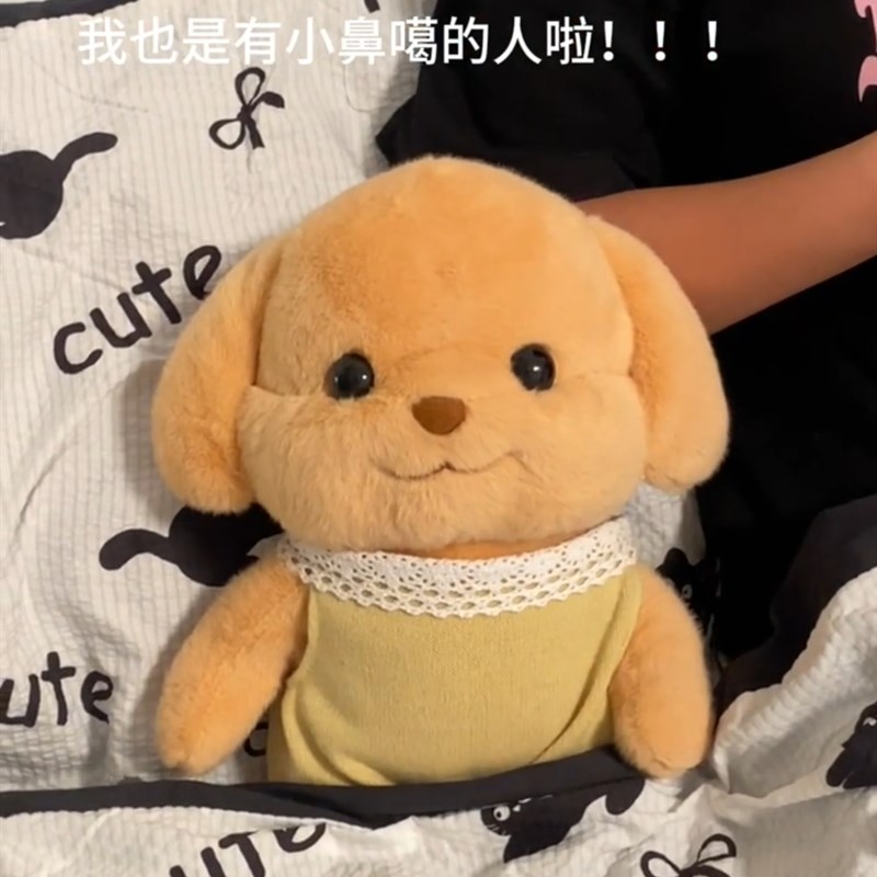 森贝儿毛绒玩具可爱贵宾犬宝宝公仔狗狗玩偶送儿童男女友生日礼物
