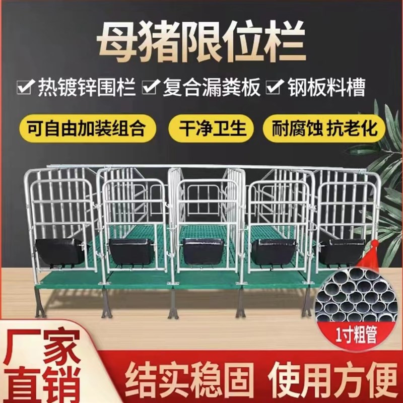 母猪限位栏食槽定位栏复合漏粪板加厚热镀锌母猪使用
