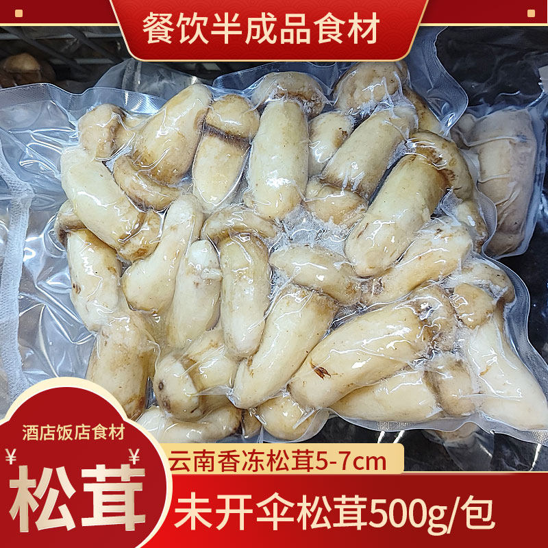 云南特产新鲜松茸鲜冻松茸商用