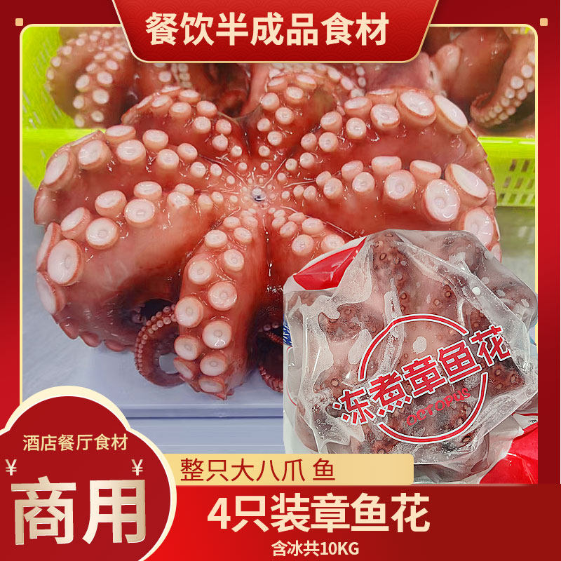 整只章鱼花4只大八抓鱼寿司特大冰冻熟冻大章鱼八爪鱼刺身章鱼腿