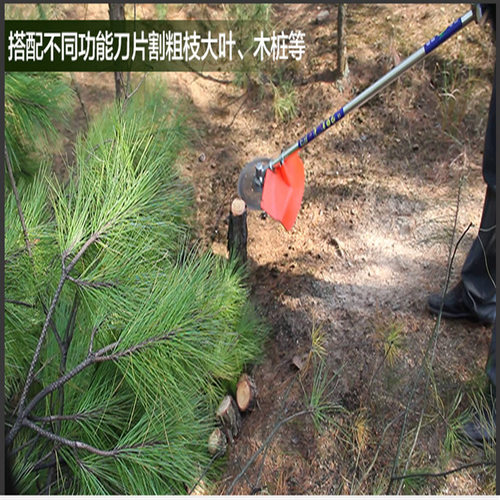 小型边角树枝修剪机 背负式四冲程打草机 园林割草除草机