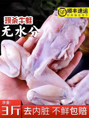 新鲜牛蛙鲜活现杀牛蛙肉半成品冷冻蛙腿干锅麻辣田鸡肉5斤装青蛙