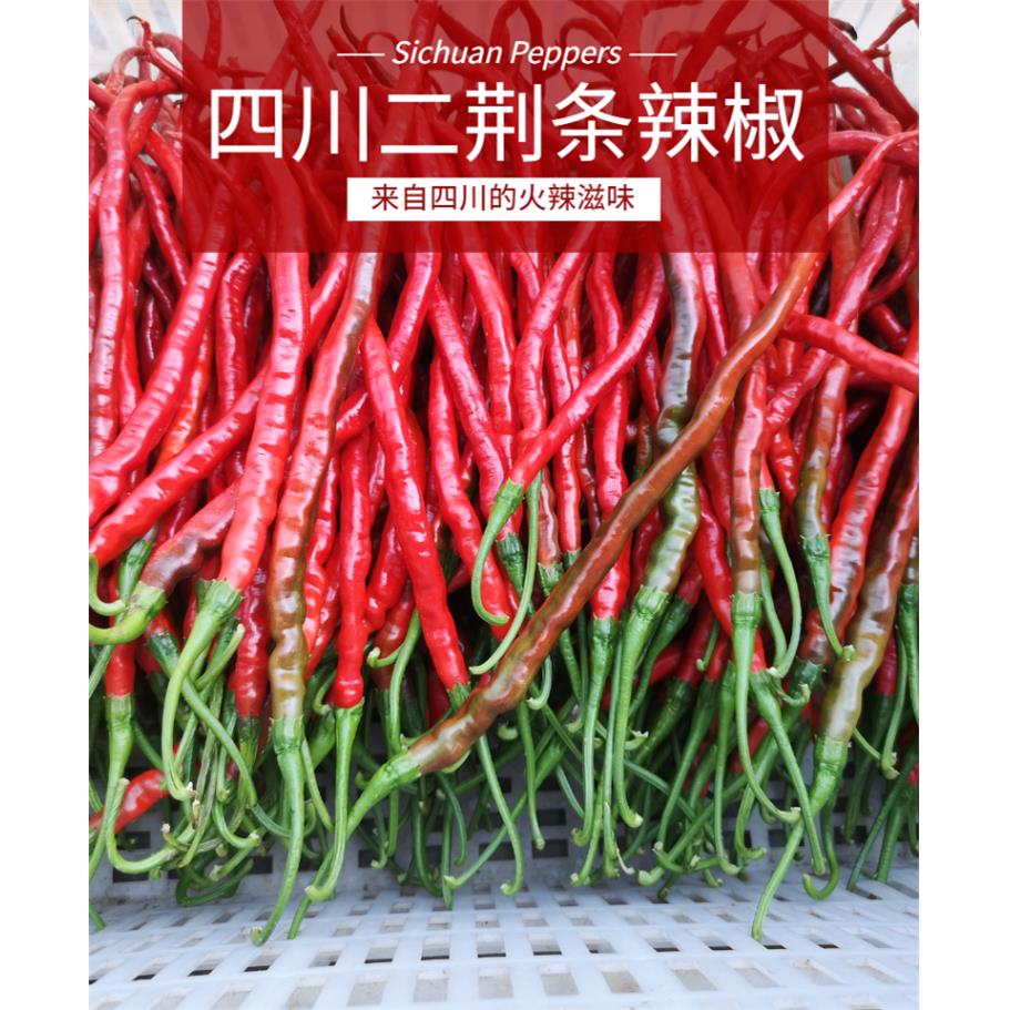 四川红辣椒新鲜红二荆条薄皮贵州红线椒5斤农家自种泡椒剁椒酱料