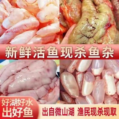 新鲜鱼杂鱼泡鱼籽鱼白鱼宝鱼肚鱼子鱼鳔鱼肠鱼内脏鱼肝冷冻鱼胶