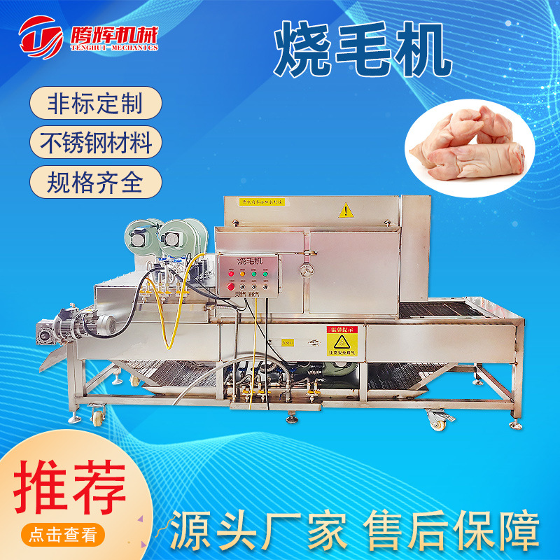 猪头自动烧毛机 带皮五花肉猪耳朵连续燎毛机 家禽家畜类去毛设备