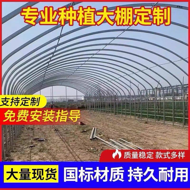 椭圆养殖种植大棚蔬菜骨