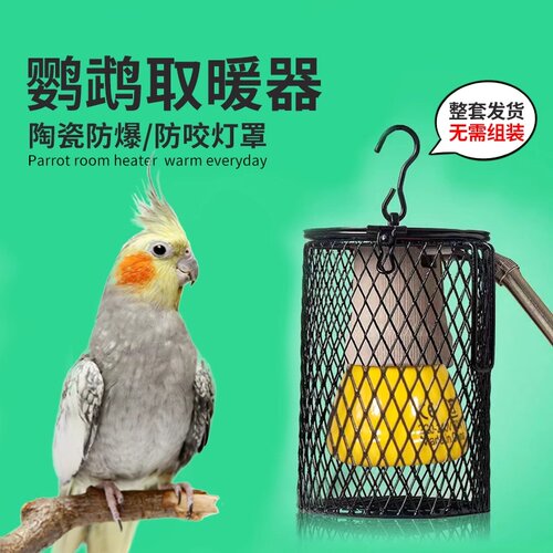 鹦鹉加热灯无光陶瓷保温灯鹦鹉取暖器智能恒温过冬鹦鹉专用保暖灯