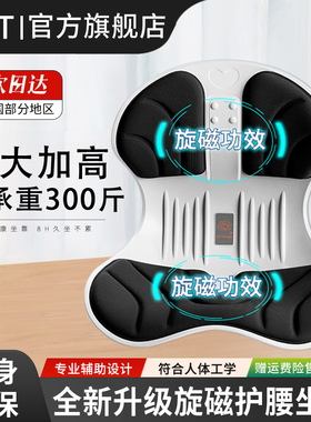 ngt护腰坐垫人体工学腰靠座椅垫坐靠一体花瓣坐垫办公室久坐神器