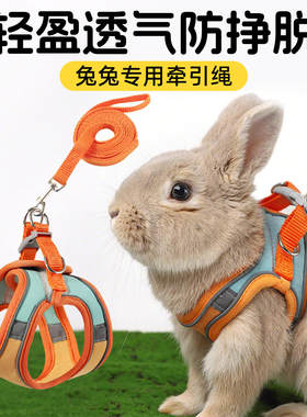 遛兔子专用牵引绳侏儒兔荷兰猪防挣脱小兔兔宠物的绳子项圈可调节