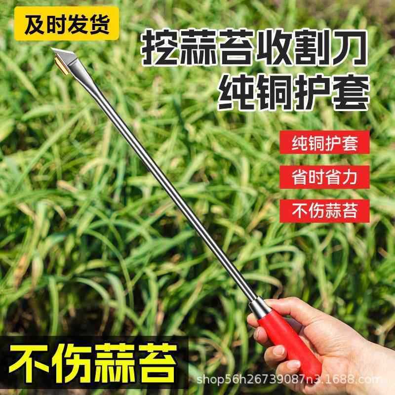 抽蒜苔 苔神器 蒜苔 苔收割刀 抽蒜器拔剥提打蒜苔 苔画 划蒜苗摘