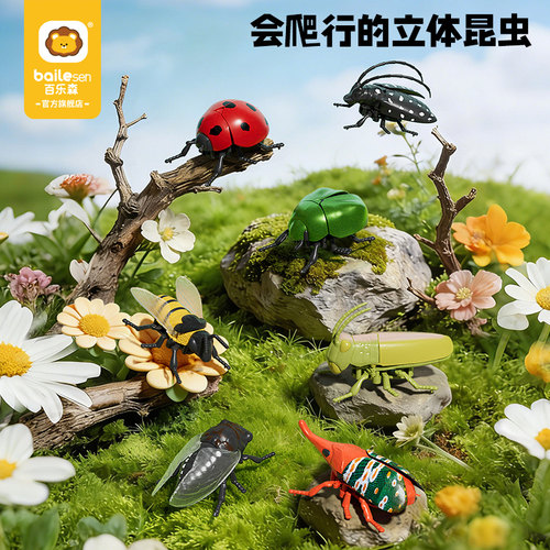会爬行立体昆虫模型仿真玩具礼盒