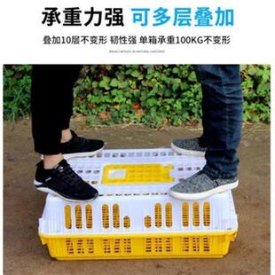 极速鸡笼子肉鸡运输笼鸭子小号防漏D兔子畜牧鸡场鸡圈笼子笼子篓