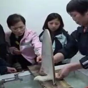 极速蚕宝宝蚕茧丝l撑竹弓做丝被开茧丝兜棉兜竹木制工艺抽丝门店