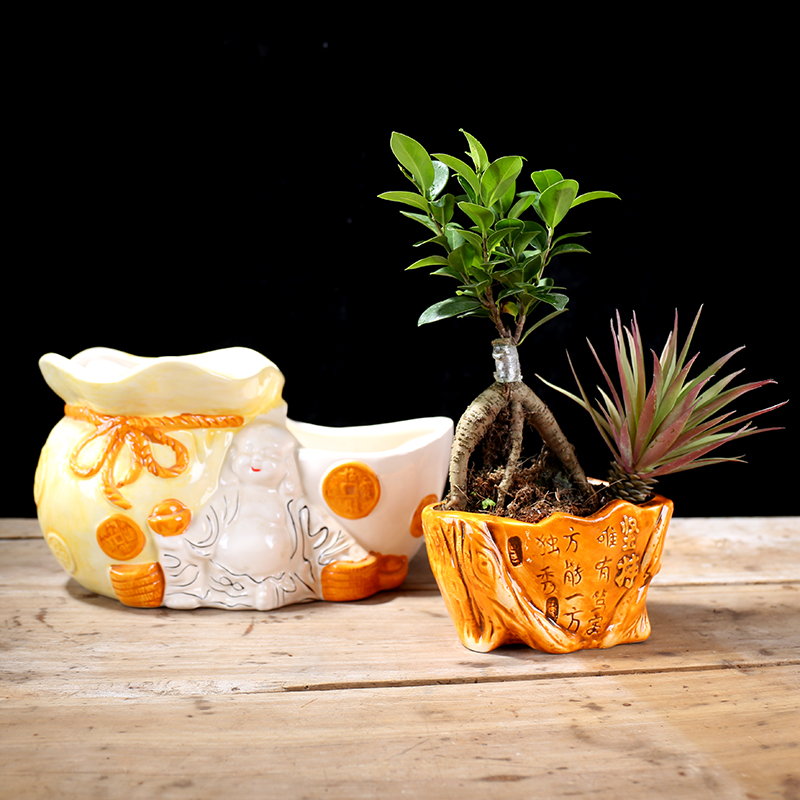 极速多肉陶瓷花盆创意简r约连体双桶花盆个性异形双口花盆家居陶