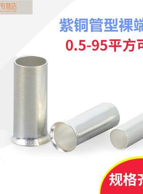 极速紫铜EN601h8 10/16/25/35/50/70/95-18 25欧式管型针型接线裸