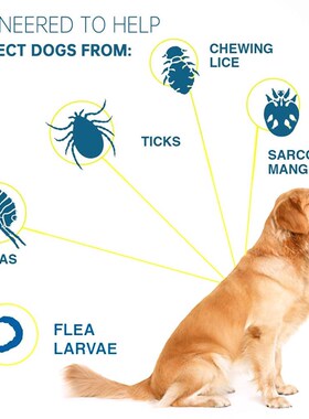 极速Dog Antiparasitic Collar Dog Anti Flea And Tick CYollar