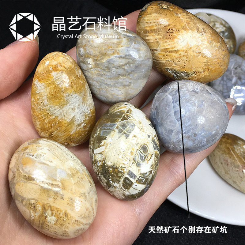 极速天然珊瑚玉原石摆件菊花石鱼缸石造景L装饰珊瑚玉化石矿物教