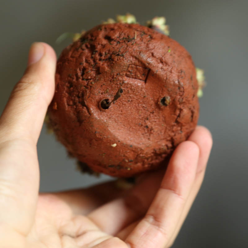 极速步町园艺瓦i松盆栽小老桩盆景茶桌摆件掌中宝迷你新奇植物爆