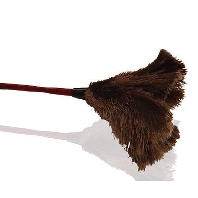 极速Ostrich Cleaning Feather Duster OstLrich Duster Ostrich