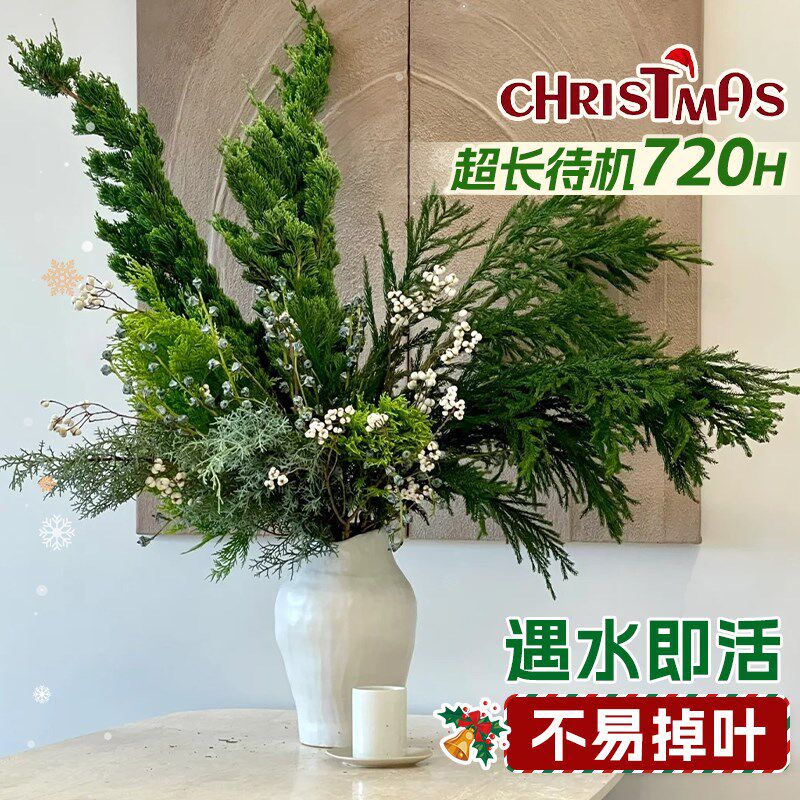 极速新鲜侧柏枝鲜切m松枝水培绿植诺贝松真扁柏圣诞树装饰摆件diy