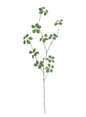 极速DIY Home Decoration xSimulation Guanyin Lotus Leaf