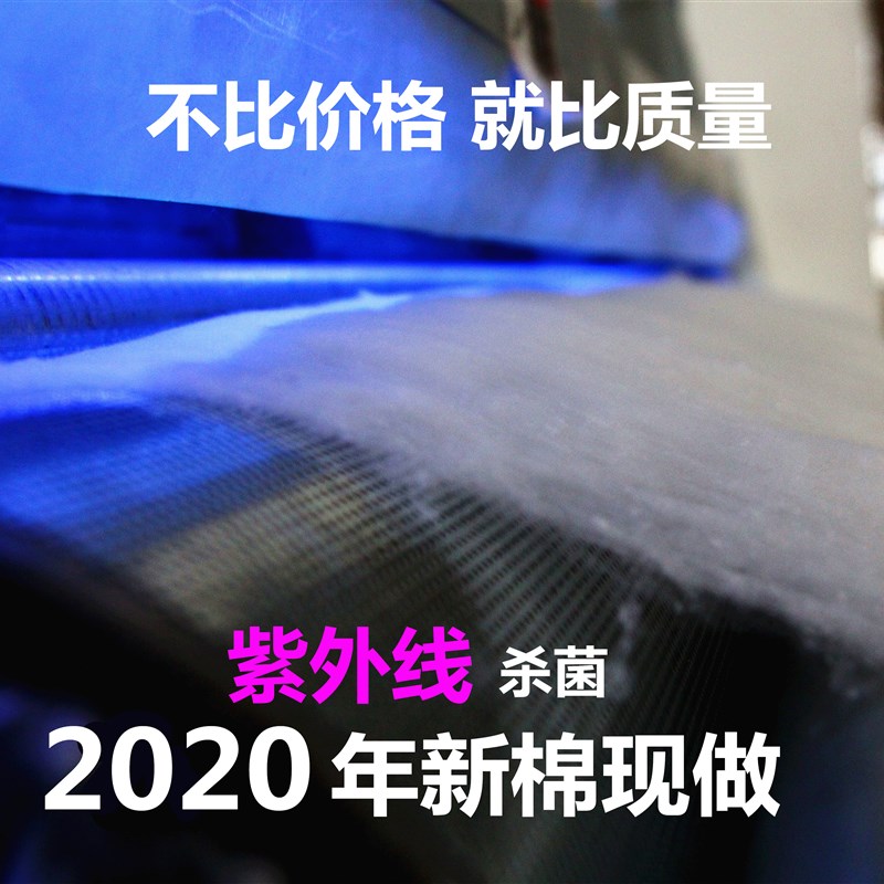 新品新疆天然棉花枕头芯s枕芯儿童学生单双人枕头成人护颈纯棉花