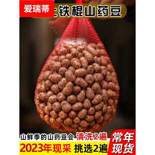 河南焦作温县新鲜垆土铁棍小山药豆蛋蛋大小号果零余子5斤神仙果