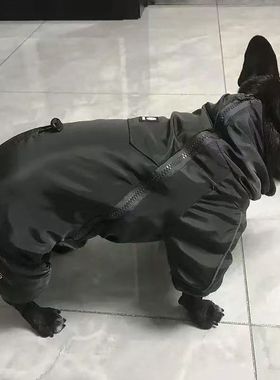 宠物衣服狗狗新款秋冬洋气法斗巴哥棉服西高地雪纳瑞外套加厚防寒