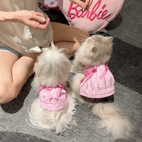 猫咪狗狗通用可爱公主