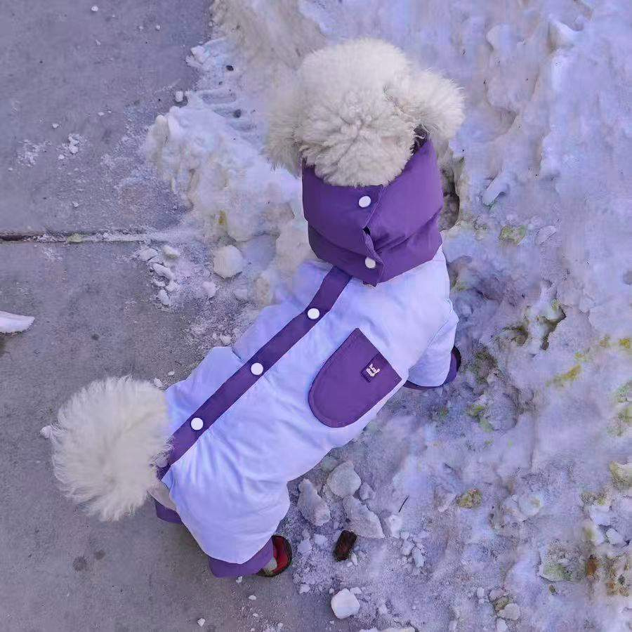 宠物狗狗比熊博美冬季洋气加厚棉服狗狗衣服小型犬加厚护肚子外出,宠物/宠物食品及用品,狗宠物服装/雨衣,淘宝优惠券,粉丝福利购,淘宝优惠卷