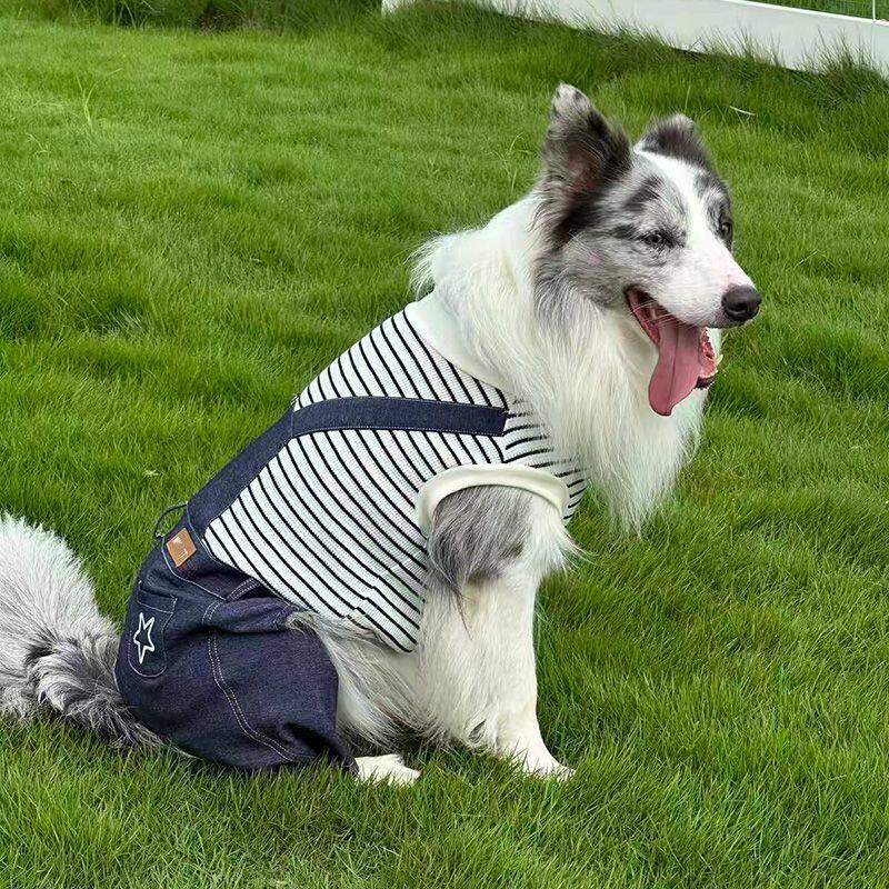 中大型犬狗狗牛仔背带裤连体金毛拉布拉多条纹四脚衣春秋大狗衣服