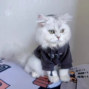 宠物衣服秋冬装宠物狗狗猫咪洋气衣服冬季保暖加绒公猫帅气猫猫