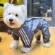宠物泰迪比熊雪纳瑞狗狗秋冬新款 加绒户外加厚外出保暖四脚衣