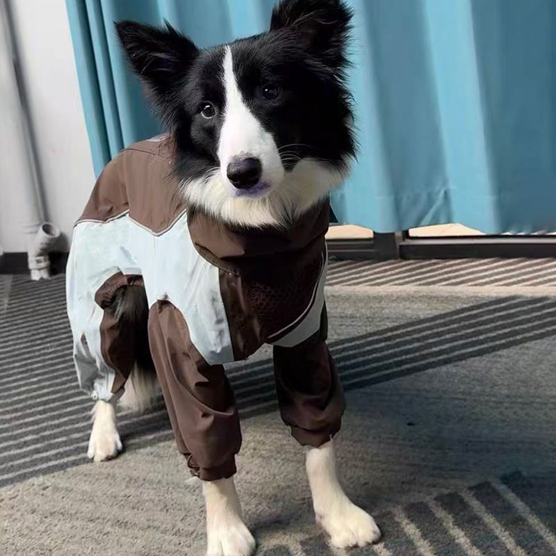 宠物猫咪狗狗秋冬新款衣服加绒保暖边牧萨摩耶宠物冲锋衣户外四脚