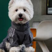 宠物泰迪比熊雪纳瑞狗狗秋冬新款 夹棉户外加厚外出保暖四脚衣