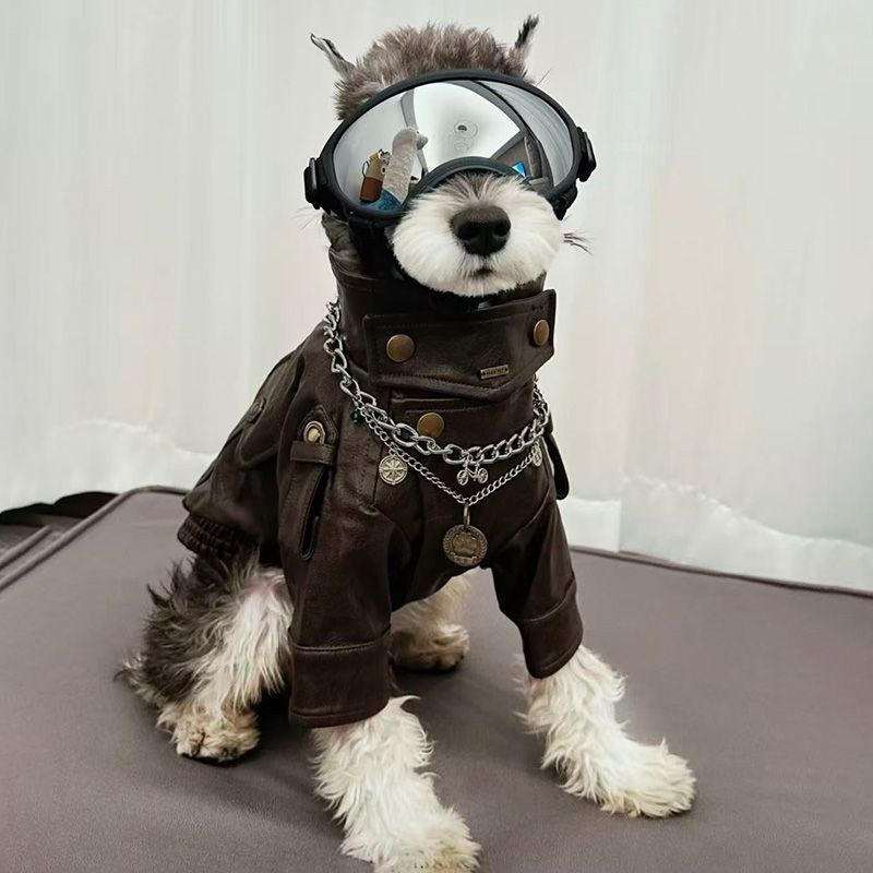 宠物猫咪狗狗皮衣外套秋冬新款复古帅气中小型机车工装猫中小型犬
