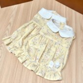 宠物猫咪狗狗公主裙比熊博美约克夏雪纳瑞小型犬猫衣服春夏薄狗狗