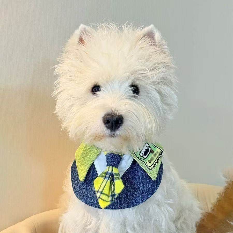 猫咪狗狗宠物口水巾围脖装饰可爱围兜娃娃领围巾口水巾大型犬小狗,宠物/宠物食品及用品,领结,淘宝优惠券,粉丝福利购,淘宝优惠卷