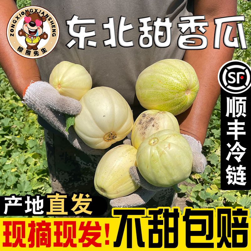 黑龙江甜香瓜现摘现发顺丰包邮
