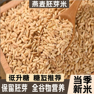 内蒙古胚芽煮粥燕麦米糖胖友主食